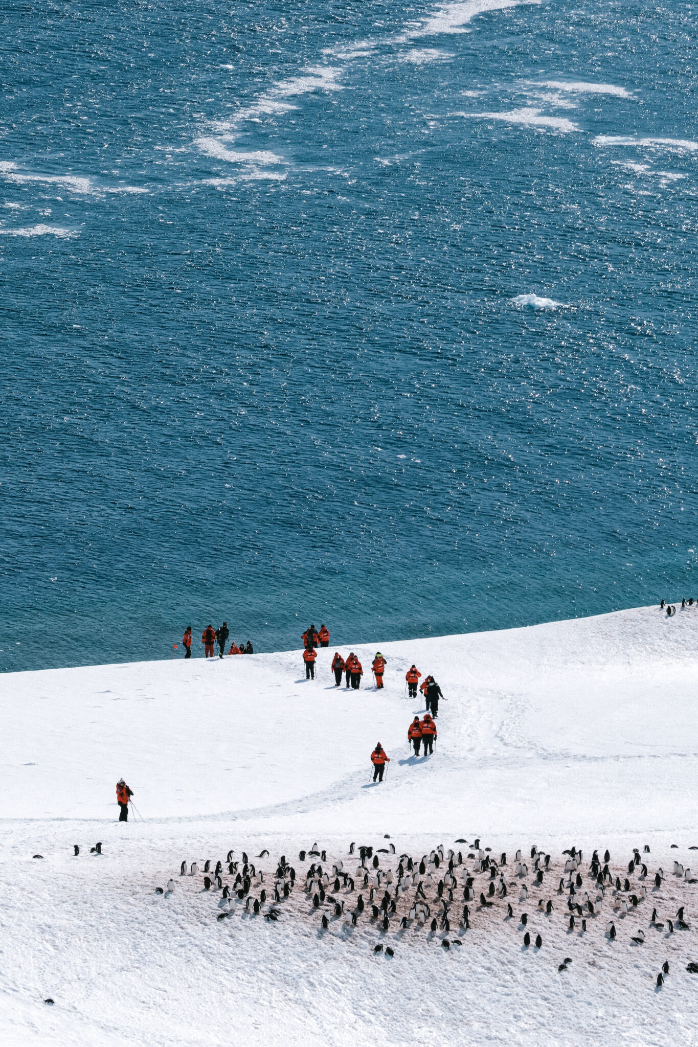 Photography Isabelle Vermeersch for Voyage Voyage in Antarctica