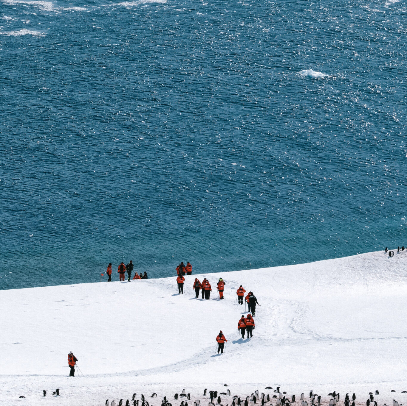 Photography Isabelle Vermeersch for Voyage Voyage in Antarctica